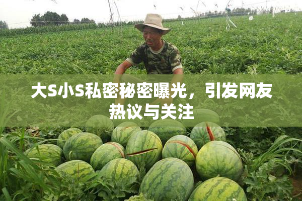 大S小S私密秘密曝光，引发网友热议与关注