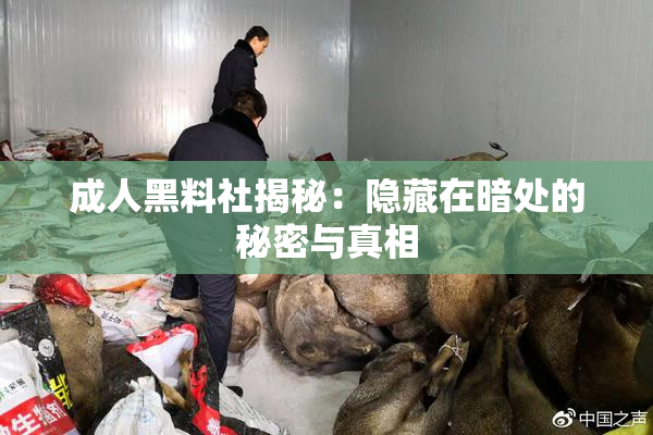 成人黑料社揭秘：隐藏在暗处的秘密与真相