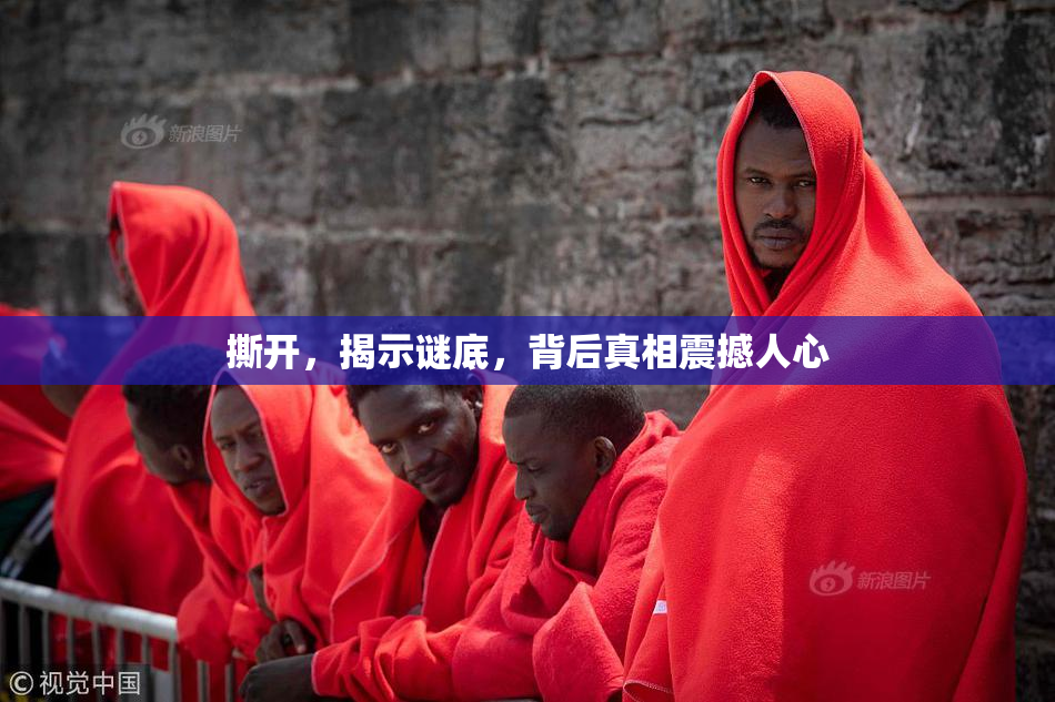 撕开，揭示谜底，背后真相震撼人心