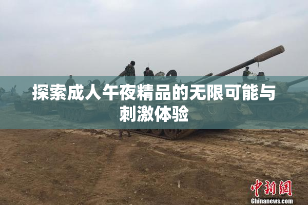 探索成人午夜精品的无限可能与刺激体验