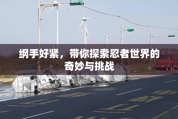 纲手好紧，带你探索忍者世界的奇妙与挑战