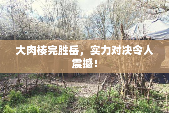 大肉楱完胜岳，实力对决令人震撼！