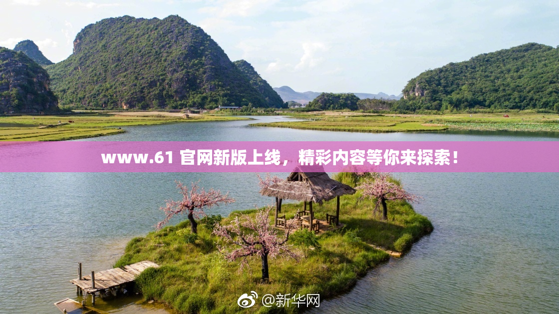 www.61 官网新版上线，精彩内容等你来探索！