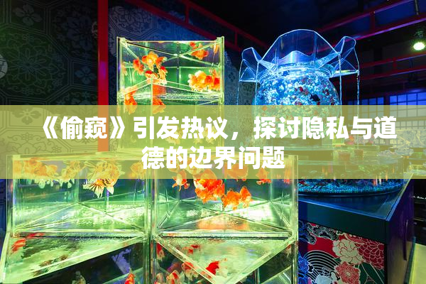 《偷窥》引发热议，探讨隐私与道德的边界问题