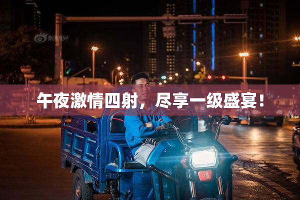 午夜激情四射，尽享一级盛宴！