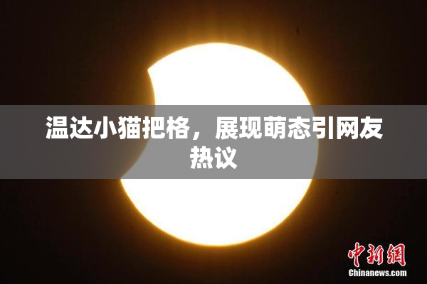 温达小猫把格，展现萌态引网友热议