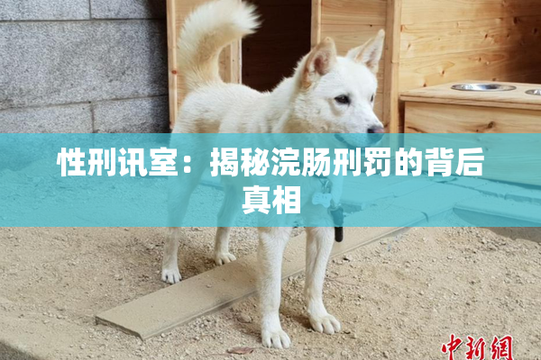 性刑讯室：揭秘浣肠刑罚的背后真相