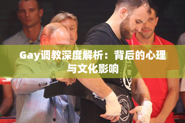 Gay调教深度解析：背后的心理与文化影响