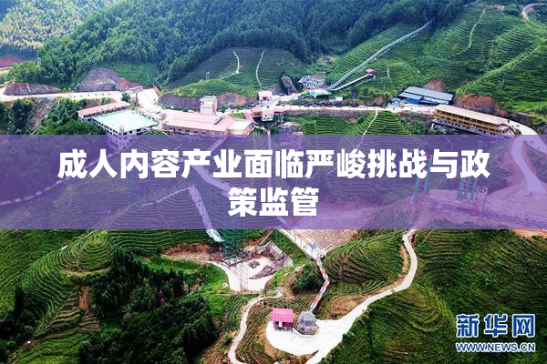 成人内容产业面临严峻挑战与政策监管