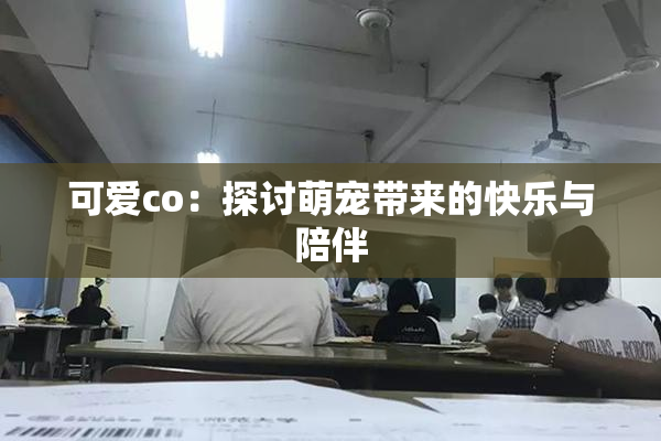 可爱co：探讨萌宠带来的快乐与陪伴