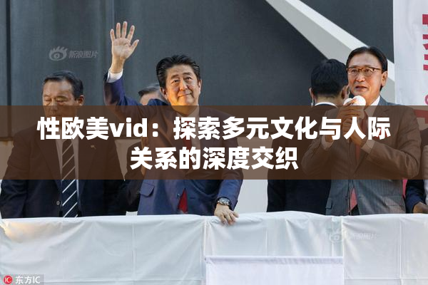 性欧美vid：探索多元文化与人际关系的深度交织