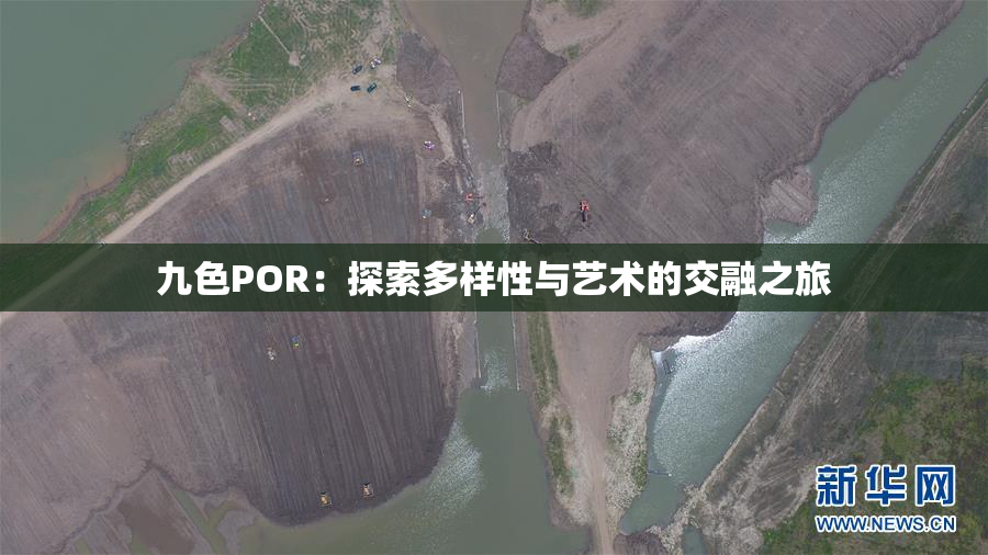 九色POR：探索多样性与艺术的交融之旅