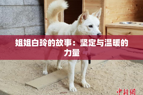 姐姐白玲的故事：坚定与温暖的力量