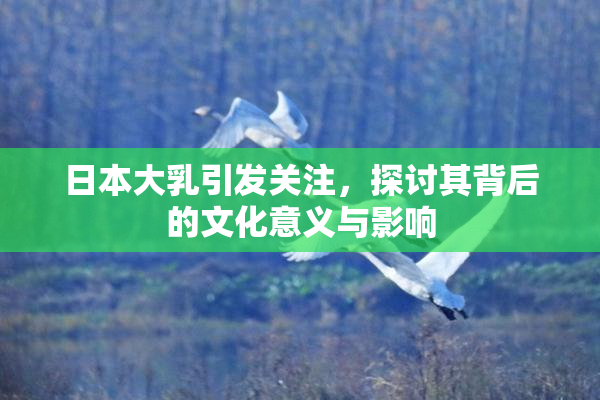 日本大乳引发关注，探讨其背后的文化意义与影响