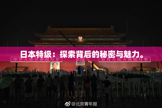 日本特级：探索背后的秘密与魅力。