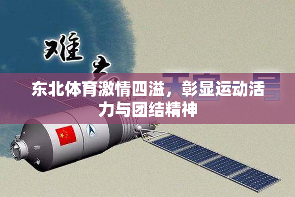 东北体育激情四溢，彰显运动活力与团结精神