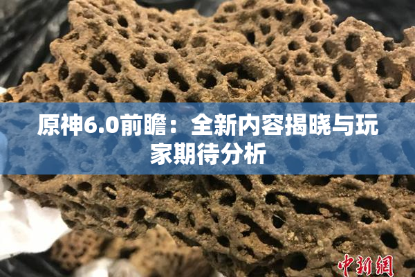 原神6.0前瞻：全新内容揭晓与玩家期待分析