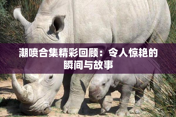 潮喷合集精彩回顾：令人惊艳的瞬间与故事