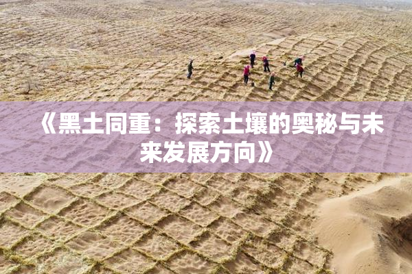 《黑土同重：探索土壤的奥秘与未来发展方向》