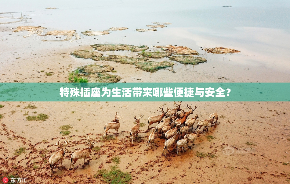 特殊插座为生活带来哪些便捷与安全？