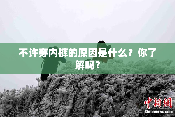 不许穿内裤的原因是什么？你了解吗？