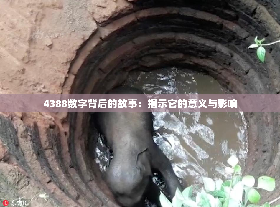 4388数字背后的故事：揭示它的意义与影响