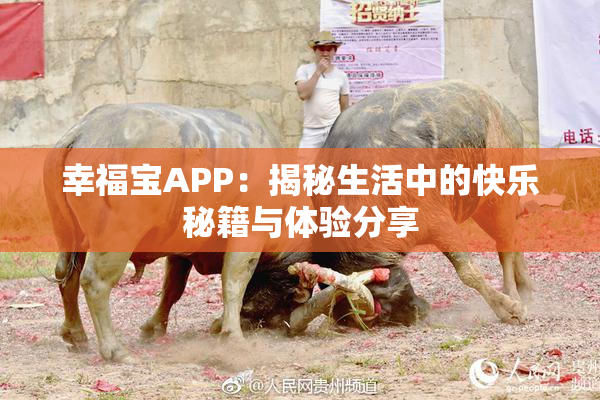 幸福宝APP：揭秘生活中的快乐秘籍与体验分享
