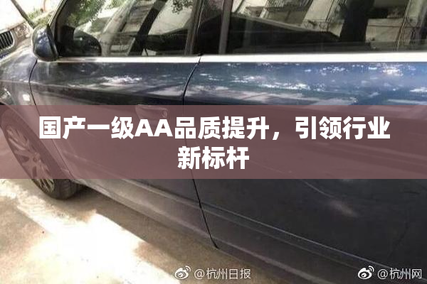 国产一级AA品质提升，引领行业新标杆