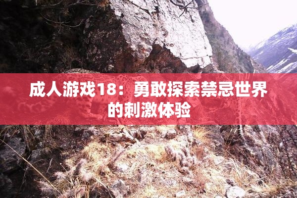 成人游戏18：勇敢探索禁忌世界的刺激体验
