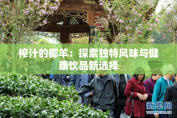 榨汁的椰羊：探索独特风味与健康饮品新选择