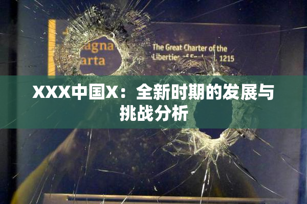 XXX中国X：全新时期的发展与挑战分析