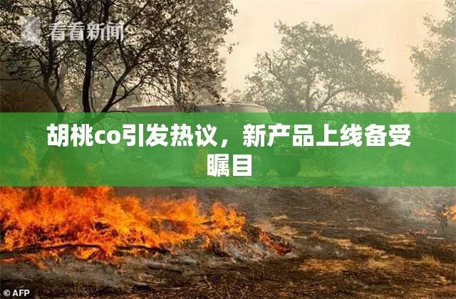 胡桃co引发热议，新产品上线备受瞩目