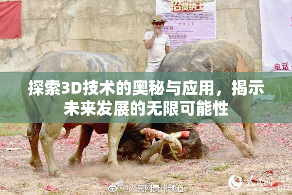 探索3D技术的奥秘与应用，揭示未来发展的无限可能性