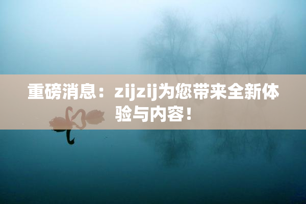 重磅消息：zijzij为您带来全新体验与内容！