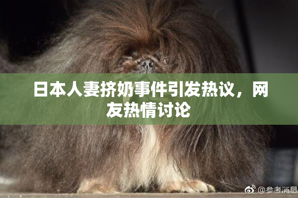 日本人妻挤奶事件引发热议，网友热情讨论