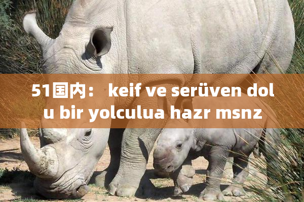 51国内： keif ve serüven dolu bir yolculua hazr msnz