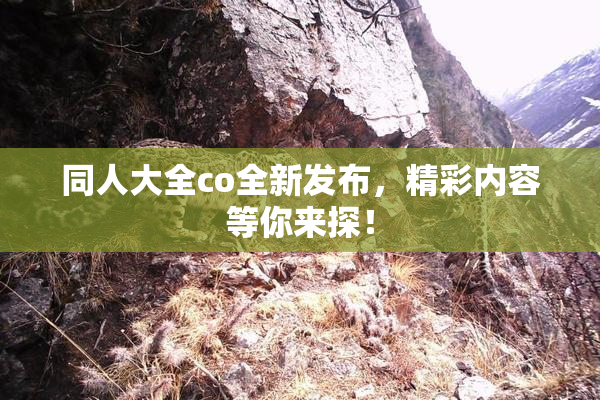 同人大全co全新发布，精彩内容等你来探！