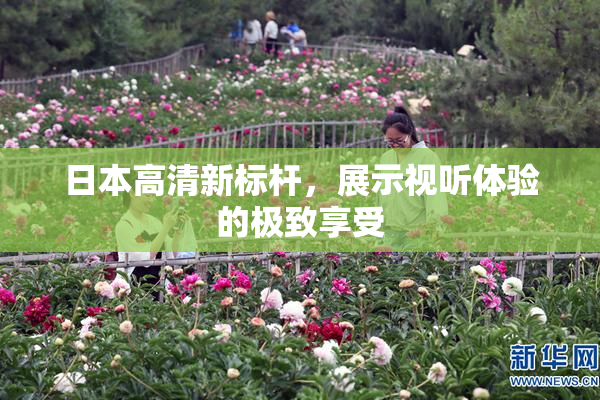 日本高清新标杆，展示视听体验的极致享受