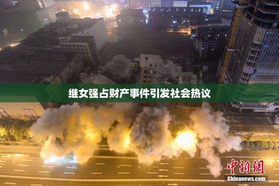 继女强占财产事件引发社会热议