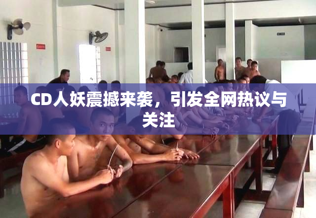CD人妖震撼来袭，引发全网热议与关注