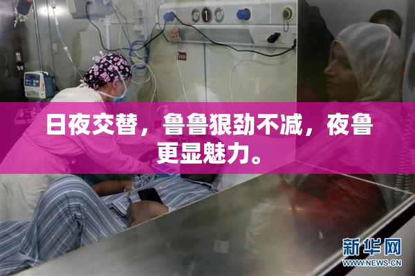 日夜交替，鲁鲁狠劲不减，夜鲁更显魅力。