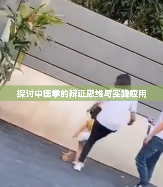 探讨中医学的辩证思维与实践应用