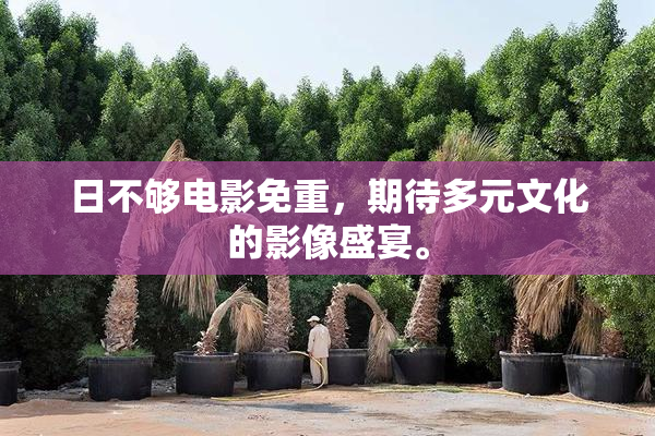 日不够电影免重，期待多元文化的影像盛宴。