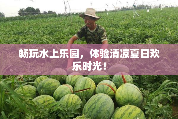 畅玩水上乐园，体验清凉夏日欢乐时光！
