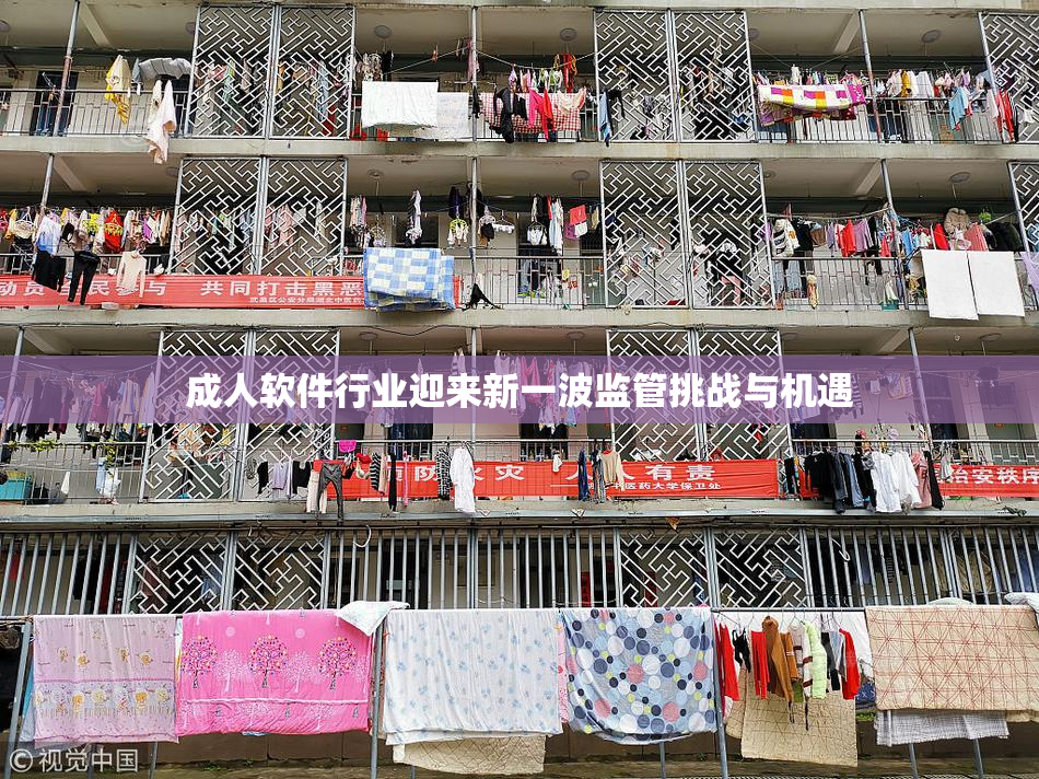 成人软件行业迎来新一波监管挑战与机遇