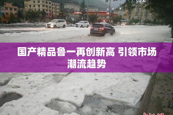 国产精品鲁一再创新高 引领市场潮流趋势