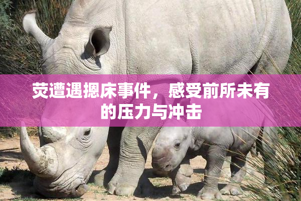 荧遭遇摁床事件，感受前所未有的压力与冲击