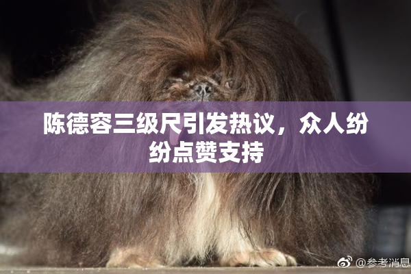 陈德容三级尺引发热议，众人纷纷点赞支持
