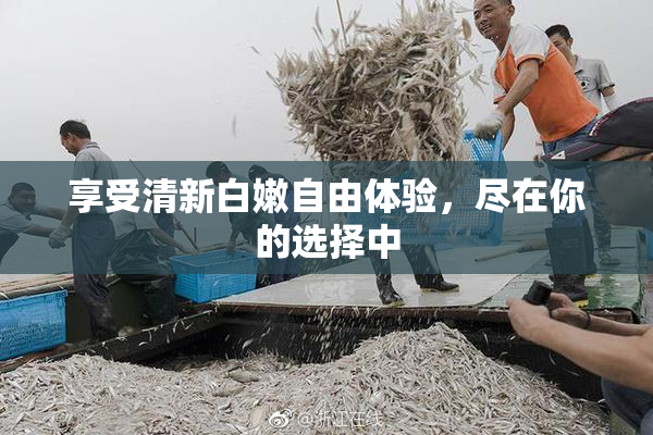 享受清新白嫩自由体验，尽在你的选择中
