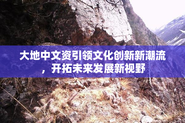 大地中文资引领文化创新新潮流，开拓未来发展新视野